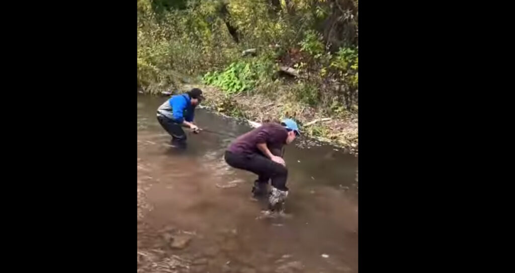 Creek E1686877059796 1024x542